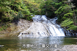 �s���n��E�����̑�