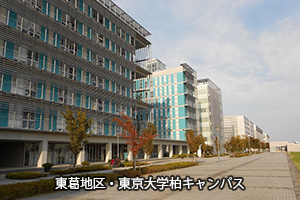 �����n��E������w���L�����p�X