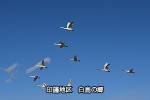 ��גn��E�����̗�