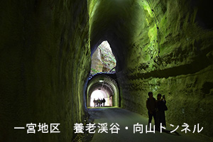 ��{�n��E�{�V�k�J�E���R�g���l��